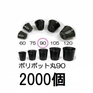 100個入) ポリポット 7.5cm (ノーマルポット) ポリ鉢 黒丸 75 底穴1