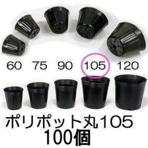 (100個入) ポリポット 10.5cm ポリ鉢 (スベールポット) 黒丸 105 底穴1 口径10...