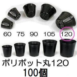 (100個入) ポリポット 12cm ポリ鉢 (スベールポット) 黒丸 120 底穴1 口径120m...