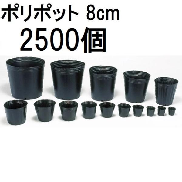 (徳用2500個入) ポリポット 8cm ポリ鉢 丸型ポット 黒丸 80 底穴1 口径80mm×高さ...