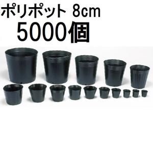 10000個入特価) ポリポット 5cm ポリ鉢 丸型ポット 黒丸 50 底穴1 口径