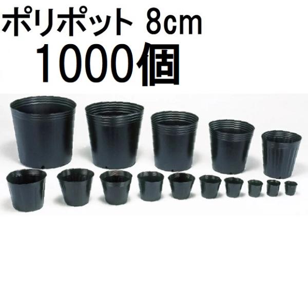 (1000個入) ポリポット 8cm ポリ鉢 丸型ポット 黒丸 80 底穴1 口径80mm×高さ70...