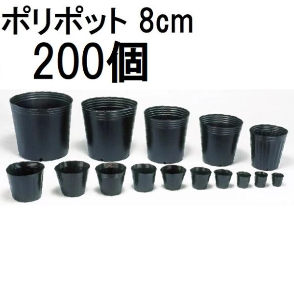 (200個入) ポリポット 8cm ポリ鉢 丸型ポット 黒丸 80 底穴1 口径80mm×高さ70m...