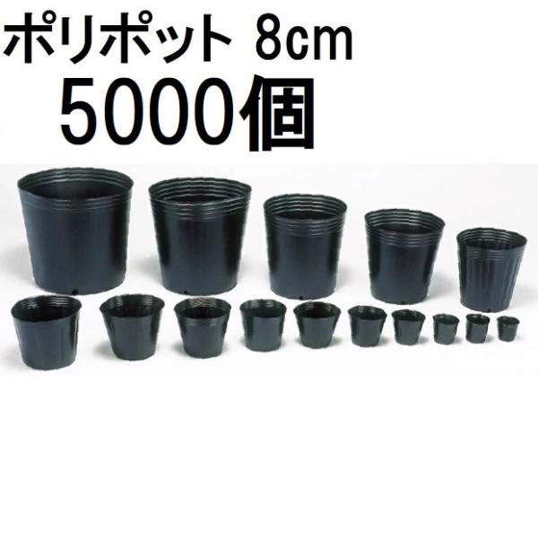 (5000個入特価) ポリポット 8cm ポリ鉢 丸型ポット 黒丸 80 底穴1 口径80mm×高さ...