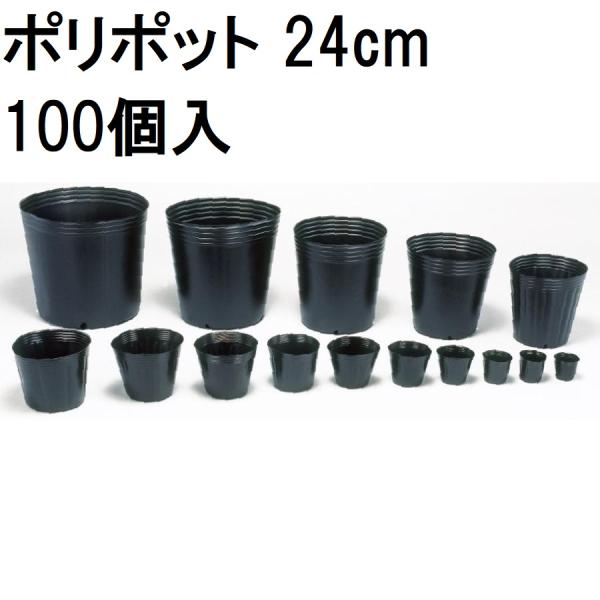 (徳用100個入) ポリポット 24cm (ノーマルポット) ポリ鉢 丸型ポット 黒丸 240 カド...