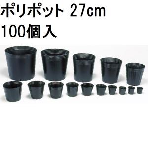 中部農材 (※ご注文前に要在庫確認)(徳用100個入) ポリポット 24cm
