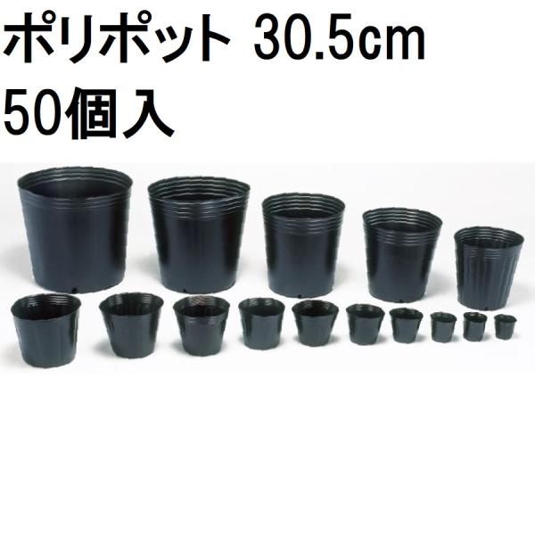 （欠品中・2026/05/08）(徳用50個入) ポリポット 30.5cm (ノーマルポット) ポリ...