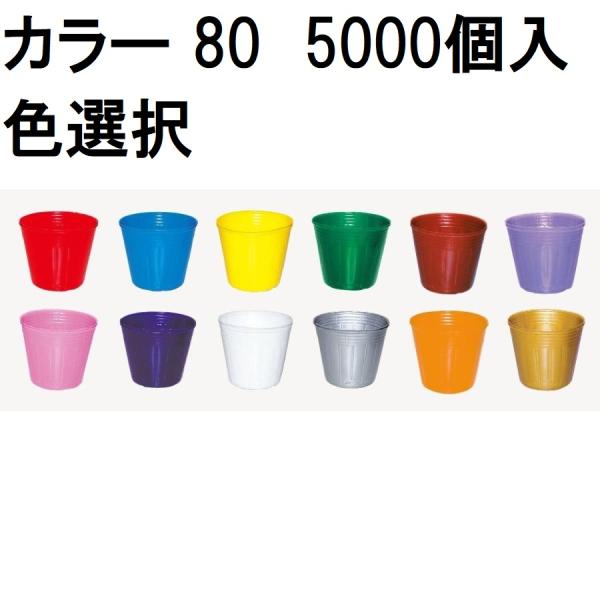 (徳用5000個入) カラーポット 8cm ポリポット ポリ鉢 80 底穴1 (赤・青・黄・緑・茶・...