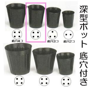 ポリポット12センチ深鉢黒1000個 楽天市場】ポリポット 12cm 黒 1000個 : 所沢植木鉢センター