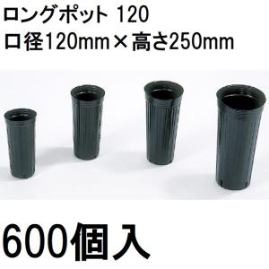 20枚 ポットレスコンテナ230 24穴 5.5cm 容量230cc 阪中緑化資材 タS
