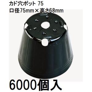 ポリポット ポリ鉢 カド穴ポット （加工品） 7.5cm