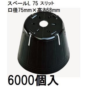 連結ポット 親株用 25個入 3穴 P18 645×245×160mm いちご炭疽病対策