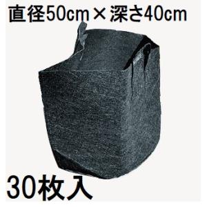 福助工業 (6000枚入) 野菜袋 ボードンレックス #20 0.02 No.10 4穴