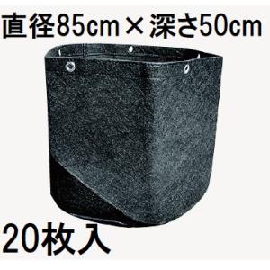 ピカコーポレイション (メーカー在庫限り) ハーベスト 室内温室用