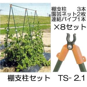 8セット特価) つるもの用 棚支柱セット TS-1.8 (1.8m) ×8パック 第一