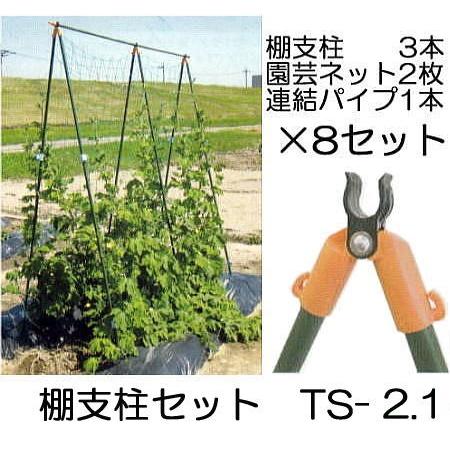 (8セット特価) つるもの用 棚支柱セット TS-2.1 (2.1m) ×8パック 第一ビニール D...