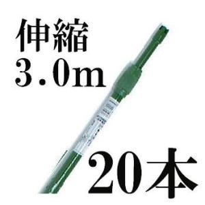 菜園伸縮パイプ イボ付 3.0タイプ φ19-22mm×160cm~300cm 20本単位 ( イボ竹 農業用支柱 すくすく竹 第一ビニール)