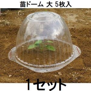 3枚入) 苗ドーム 特大 苗カバー 第一ビニール (zs30) : ザ・タッキー