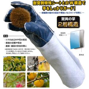 とげハンド TH-700 トゲ対策 手袋 (サ...の詳細画像1