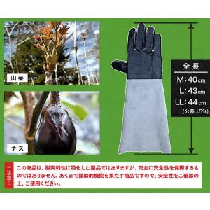 とげハンド TH-700 トゲ対策 手袋 (サ...の詳細画像5