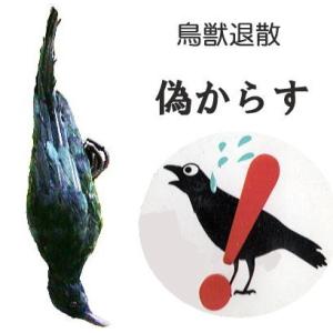 鳥追いカラス からすのかーすけ 本物の羽毛使用 模造カラス