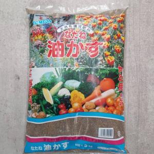 油粕 なたね油粕 菜種油かす 5kg 天然有機質肥料