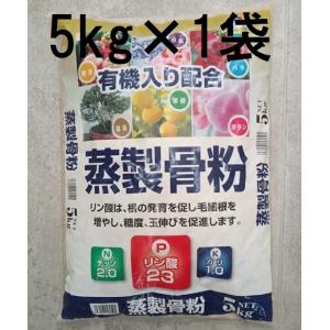 3000枚入) シンワ 高品質 フラワースリーブ 多孔 花袋 12号 #25 400 