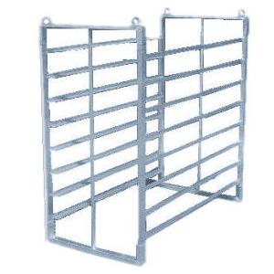 小さな苗 植物/本榊 実生苗 高め(A) 9cmポット1苗（月曜日発送：12月29日