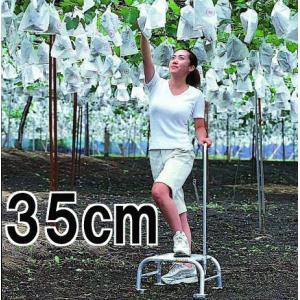 アルインコ/ALINCO　三脚脚立　KWA-240F　はしご　使用時高さ1m44㎝　踏台 脚立 棚卸 物置 水屋 台 園芸 荷物 時計 店舗 ALINCO（アルインコ） 上部操作式伸縮脚付専用脚立 8尺 GUD-240X