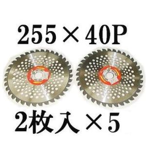 ヤンマー純正 田植機 植え付け爪 [7C6550-36200] 1台分 10本セット