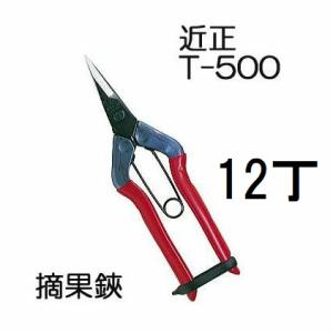CHIKAMASA（近正） (3丁セット) ステンレス芽切鋏 T-550S 本職園芸用