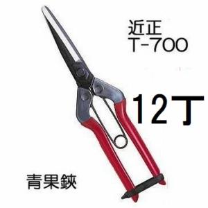 CHIKAMASA（近正） (徳用12丁セット) (標準包装) 青果鋏 ガード付 T