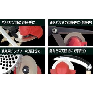 ダイヤモンド砥石 150# N-840-1 (...の詳細画像2