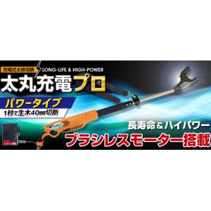 ニシガキ N-932 太丸充電プロ1500 パ...の詳細画像3