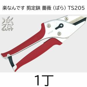LEYAT】プロ使用☆カット&ホールド(はさみ.ハサミ.レイヤット) バラの