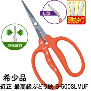 チカマサ 収穫ハサミ 収穫鋏 ぶどう鋏 B-500H 摘花 野菜鋏 はさみ 剪定