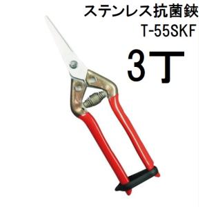 (3丁セット) 近正 本職園芸はさみ ステンレス抗菌鋏 芽切鋏 T-55SKF チカマサ (ネコポス)　(zmA70)