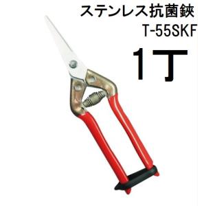 近正 本職園芸はさみ ステンレス抗菌鋏 芽切鋏 T-55SKF チカマサ (ネコポス)　(zmA70)