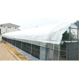 ふあふあホワイトプラス40 カット販売 遮光率...の詳細画像4