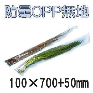 (5000枚入) ラップイン OPP防曇 ベジシューター用 無地袋 ＃20 100×700+50 4...