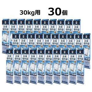 フジテープ PE 504 黄 7mm幅×約500m巻 包装用 リボン 折詰用 紐 (鳥よ