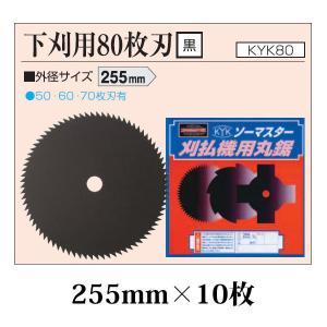 ピカコーポレイション (メーカー在庫限り) ハーベスト 温室 電子温度
