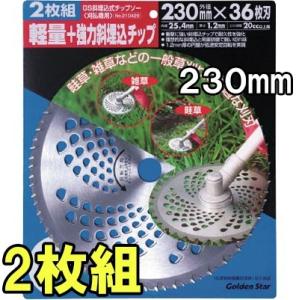 (2枚組) キンボシ 斜埋込式チップソー 230mm×36P 210428 ゴールデンスター(zs)