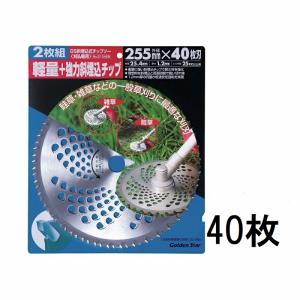 (40枚組特価) キンボシ GS 斜埋込式チップ...の商品画像