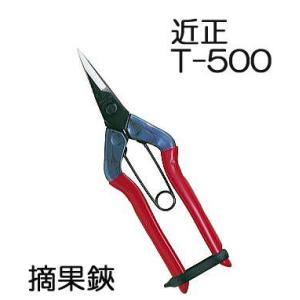 近正 チカマサ 摘果鋏 T-500 (zmD1/zsヌ)｜tackey