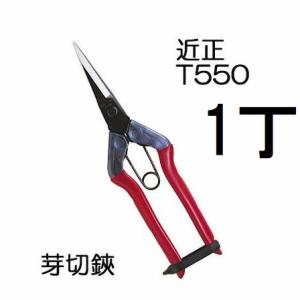 近正 チカマサ バネ 極小 パック2個入 T-550、550S、T-570用 : もの