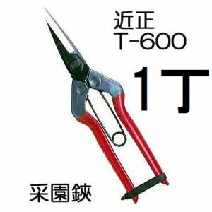 (7丁迄メール便￥300可) (標準包装) 近正 菜園鋏 (采園鋏) T-600 大型摘果鋏 本職園...