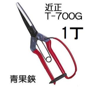 CHIKAMASA（近正） (6丁迄メール便￥300可) (標準包装) 青果鋏 T-700