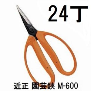 (24丁セット大特価) 近正 園芸鋏 M-600 尖直刃 BP 大型摘果鋏 チカマサ　zm