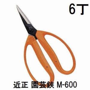 まっちゃさん専用 CHIKAMASA（近正） 園芸鋏 M-600 尖直刃 BP 大型摘果鋏 チカマサ : ザ